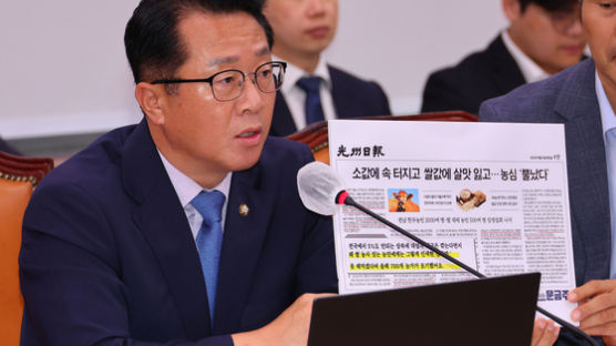 욱일기 게시 땐 2000만원 이하 벌금… 형법 개정안 발의