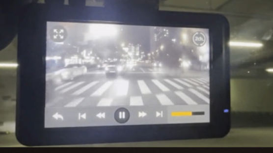 "번쩍하더니 인도 돌진"…CCTV로 재구성한 차량 질주 참사