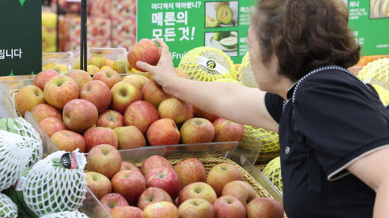 과일이 고물가 주범?…진화 나선 농식품부 "8월부터 가격 안정"