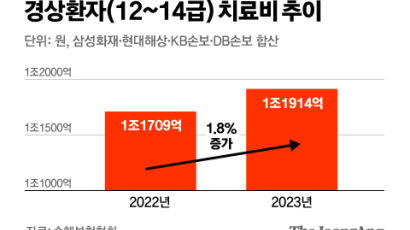 [단독] '나이롱 방지법' 이후 나이롱 보험금 더 늘었다, 무슨 일