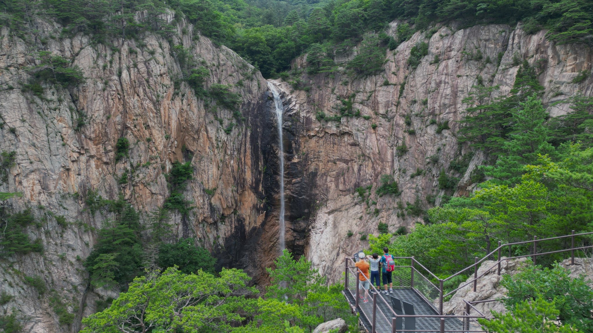 사진 인제군