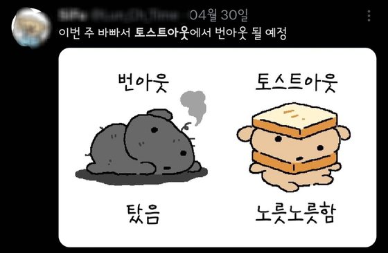 토스트아웃 SNS 게시글. 사진 X 캡처