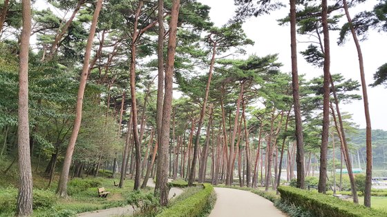 한국판 산티아고 길 열린다…태안~울진, 849㎞ '동서트레일'