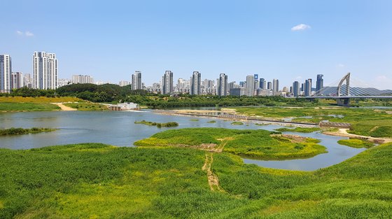 “불법 천막 자진 철거해야”...환경단체 농성에 막힌 세종보 정상화