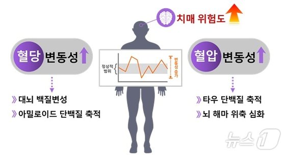 "혈당·혈압 관리하면 치매 예방할 수 있다"