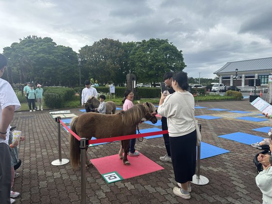 6·25 전쟁 영웅 ‘제주 말’ 레클리스 보러 오세요