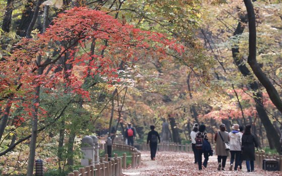 단풍철 사고 가장 많이 발생하는 곳은 ‘집 뒷산’...10월 실족 주의보