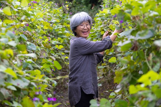 배추값 2만원 시대…기후위기에 재조명받는 토종 씨앗