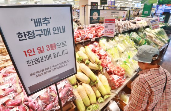 "토마토 버거에 토마토가 없어요"…폭염 끝나자 후폭풍 분다