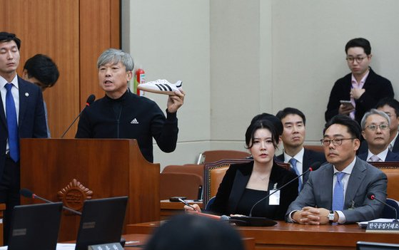 "1년 전엔 한국말 했는데 갑자기?"…아디다스 대표, 국감서 통역쓰다 혼쭐