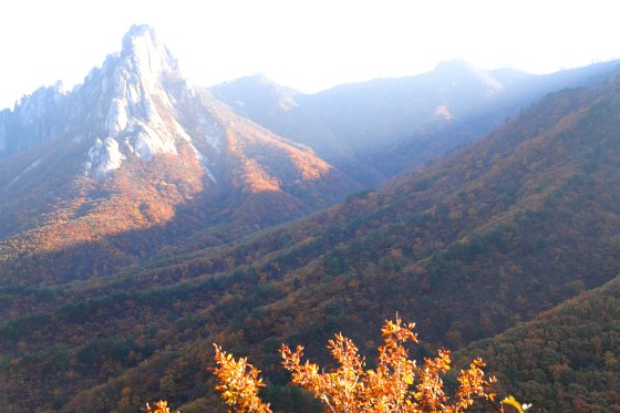 등산객 "단풍 어디에?"…설악산 단풍, 역대 가장 늦은 절정