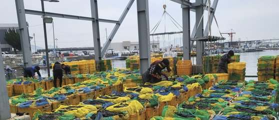 "끓는 바다에 녹아버렸어요"…울상 된 한국의 '검은 반도체'