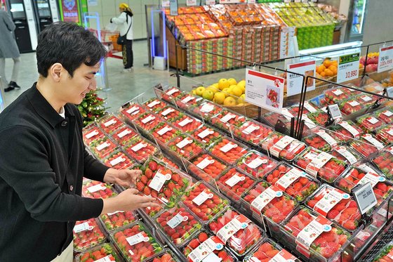 유통 전과정 점검해 ‘고르지 않아도 맛있는 딸기’ 팝니다