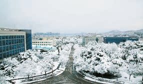 [대학, 혁신을 말하다] 전공자율선택제 내년 도입…입학부터 졸업까지 학생의 진로 선택권 보장