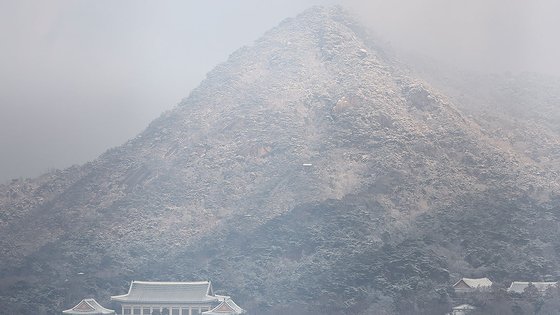 한라산 최고 55㎝ 넘는 눈 입산 통제… 전국 곳곳에 대설