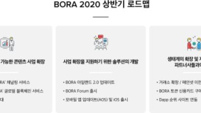 보라(BORA), 로드맵 공개 전에 가격부터 올랐다