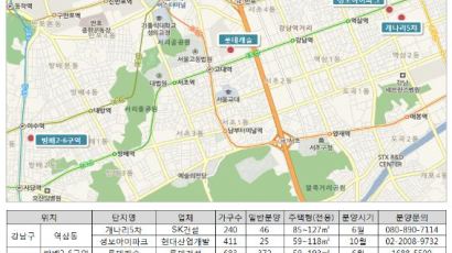 분양예정 강남 재건축 아파트 투자분석