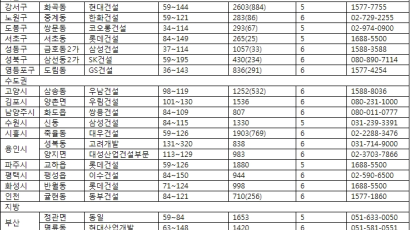 분양시장 싼 놈, 큰 놈, 좋은 놈 몰려온다