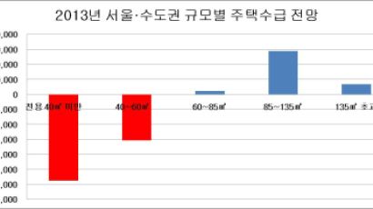 2013년 수도권 소형주택 44만가구 부족