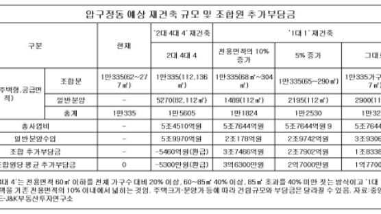 압구정동 재건축 고민에 빠지다