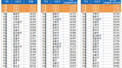 서울 싼 전셋집 어디에 몰려 있나