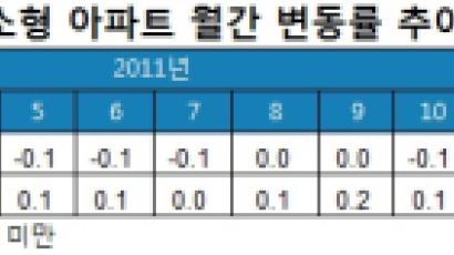 소형 주택도 고개 숙였다…대세 하락 국면 접어드나