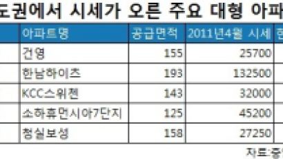 대형 아파트 추락? 오른 단지도 있다