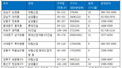 서울 재개발ㆍ재건축 단지서 5000가구 분양 대기 