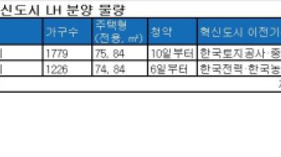 지방 혁신도시에서 실속형 중소형 아파트 나온다