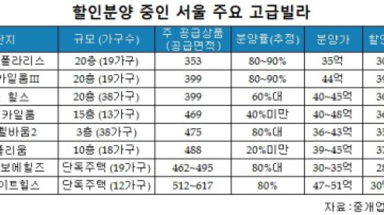 고급빌라의 굴욕…"10억 이상 싸게 분양해도 파리 날려"