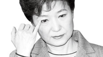 박근혜 후보의 4대 검증 포인트