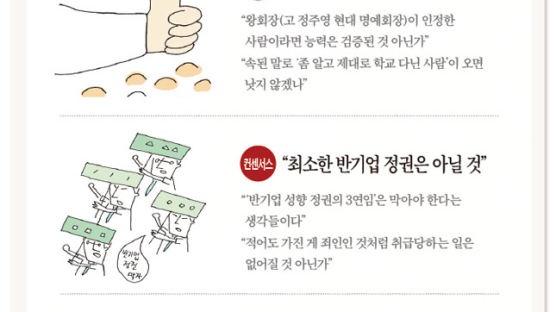 한나라당 후보 이명박 기업인의 평가는