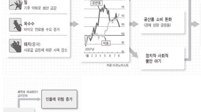 ‘애그플레이션’ 시대 오나