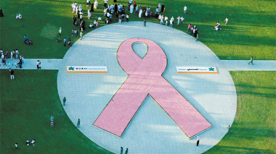 [사진] 유방암 퇴치 위한 분홍 리본