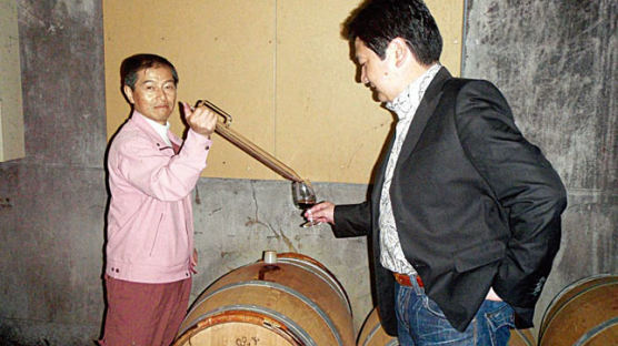 와인의 기쁨 일본 명품 와인 만드는 사람들