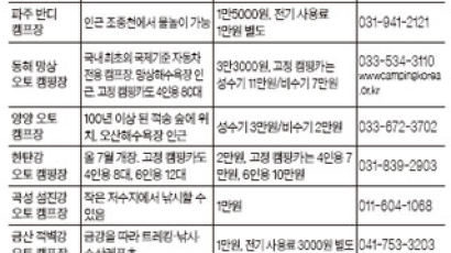 국내 自家 캠핑카 700여 대 … 펜션 대신 설치한 휴양지도