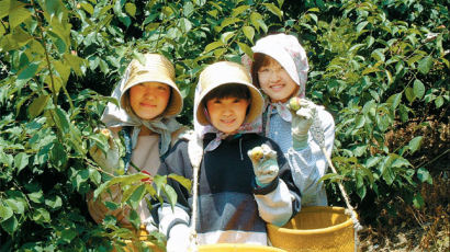 [경희대NGO대학원·본지 공동기획]21세기 대안의 삶을 찾아서② 일본 야마기시 마을