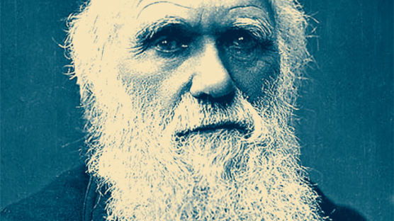 다윈, 반대자와 논쟁하기보다 현장에서 증거 찾았다