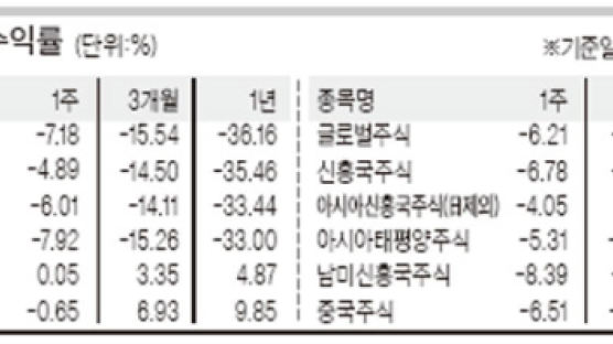 [Weekly Fund (1.12~16)] 2009년 첫 주 상승분 다 까먹어