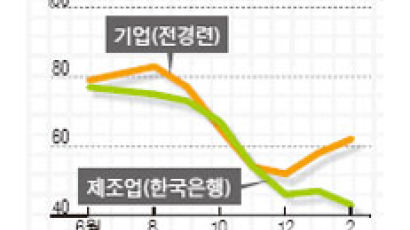 돈이 보이는 경제 지표 - 경기실사지수(BSI)