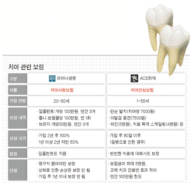 50대치아보험 행복을 위해 10