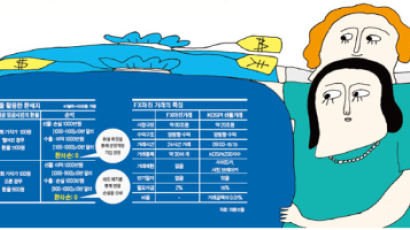 200만원으로 1억 투자 효과 … 나도 ‘와타나베 부인’ 돼 볼까