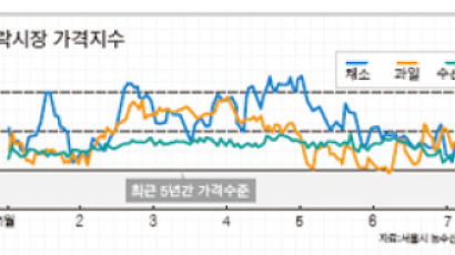 ‘장바구니 물가’ 흐름 실시간으로 파악