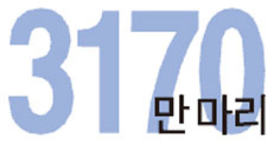 [Numbers] 3170만 마리