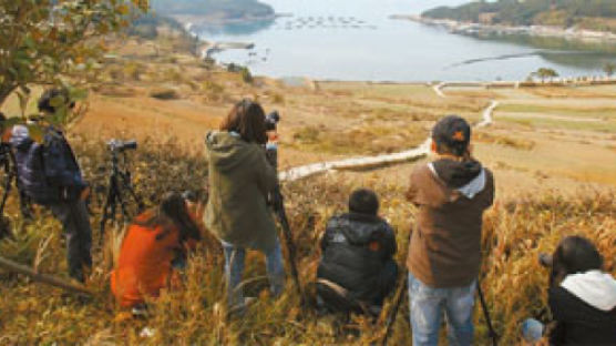 섬마을 청산도의 ‘재미있는 학교’ 실험