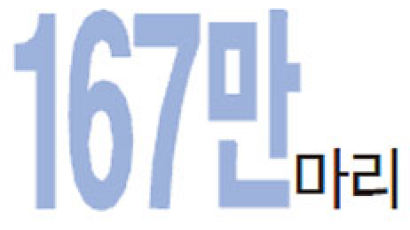 [Numbers] 167만 마리