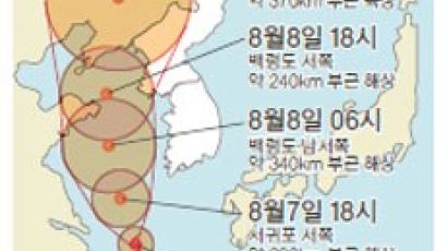 태풍 무이파, 진로 바꿔 서남해로 북상 중