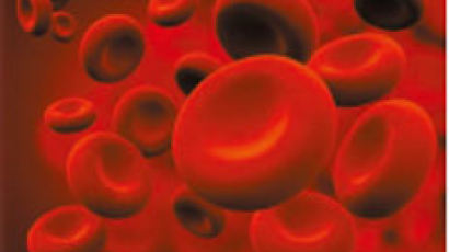 적혈구 단백질 30세트가 혈액형 결정... ABO·Rh(-) 가장 중요