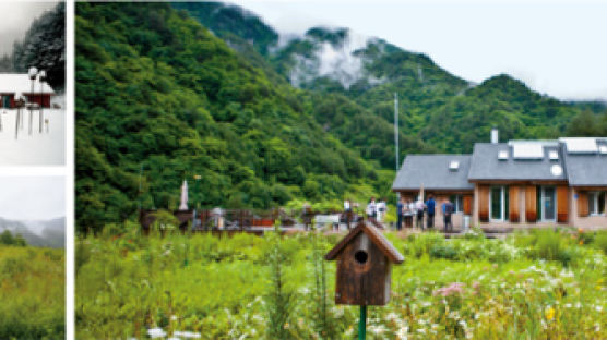 보일러 안 때고도 한겨울 실내 20도 산골짜기 작은 집