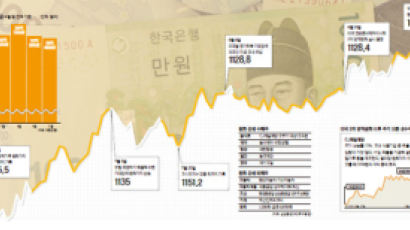 포트폴리오 재구축… 선진국 대신 신흥국, 수출주보다 내수주